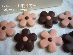 おいしいお取り寄せ お花 植物 月 星をモチーフにしたスイーツ お菓子を紹介します おいしいお取り寄せ お花 植物 月 星をモチーフにしたスイーツ お菓子を紹介します