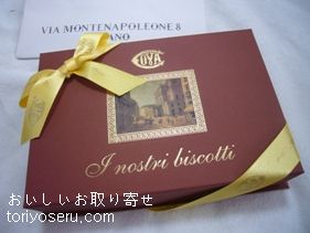 covaのバーチディダーマ