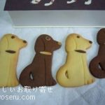 hanaのクッキー（犬、猫ボックス）