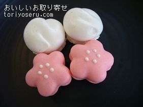 マールブランシュの四季のマカロン（桜）