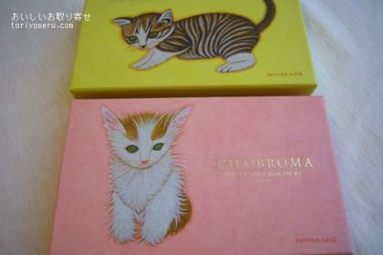 テオブロマの猫ボックス（じゃり、オランジェット）