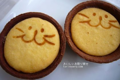 のらやのチョコタルト