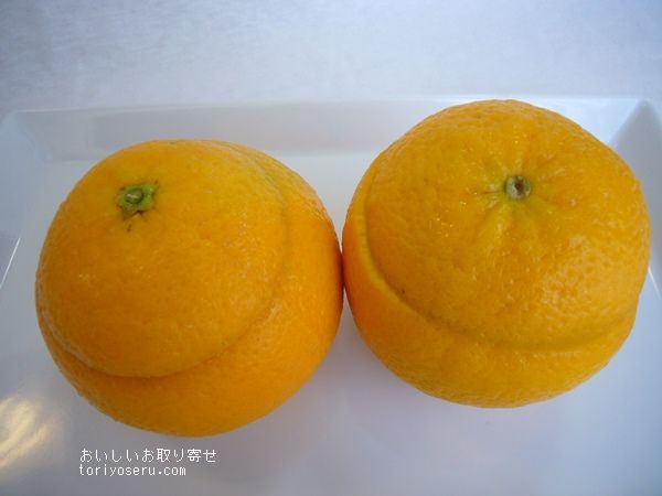シェ・シーマのオレンジゼリー
