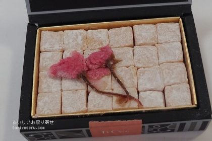 エクチュアのブルージュの石畳（桜）