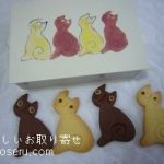 HANAのクッキーねこボックス