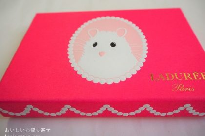 ラデュレのショコラ・プティ・スリ