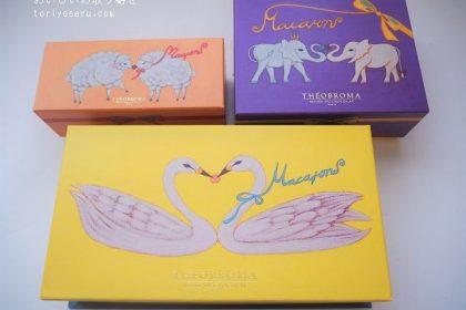 テオブロマのマカロン