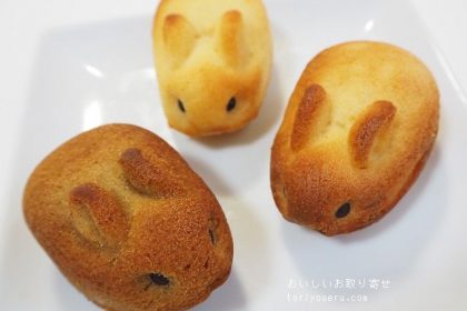 お菓子スタジオRicheのうさぎフィナンシェ