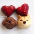 アンドチョコレートのいぬチョコ（柴犬・トイプードル）3種４個いり。