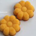 可憐な花の形が可愛い。ベルンのマーガレット