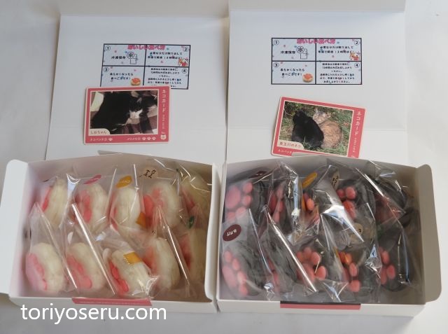 ねこかまどネットショップのこねこのしおちゃん(ぷにぷに食感の肉球和菓子)