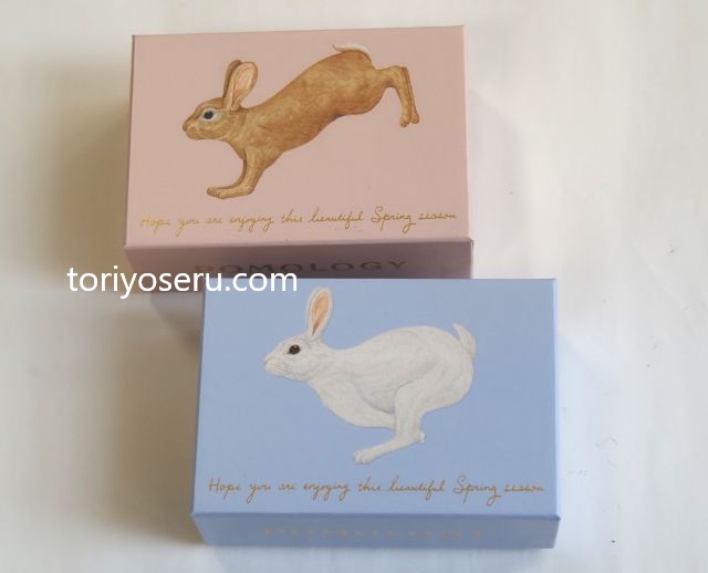 ポモロジーのショコラボックス（うさぎ）
