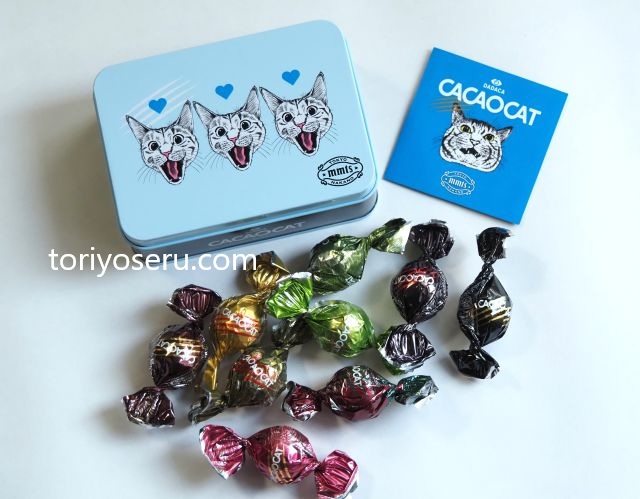 DADACA・中川翔子さん コラボ BEAMS マミタス cacaocat缶