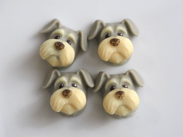 ＆CHOCOLATのいぬチョコ（シュナウザー・ポメラニアン）