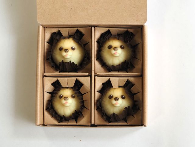 ＆CHOCOLATのいぬチョコ（シュナウザー・ポメラニアン）